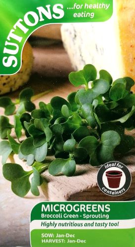 Microgreens Broccoli Green Sprouting Seeds